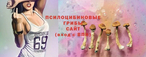 спиды Богородицк
