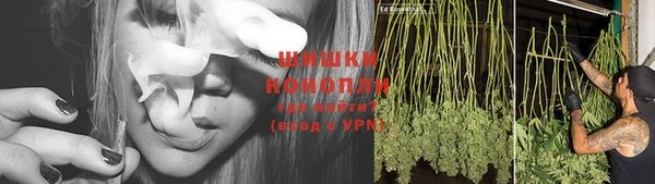 спиды Богородицк
