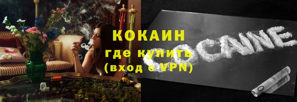 спиды Богородицк
