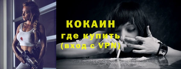 Альфа ПВП Бородино