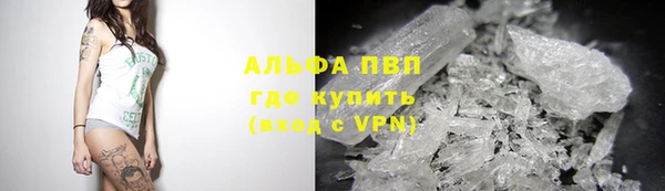 не бодяженный Богданович