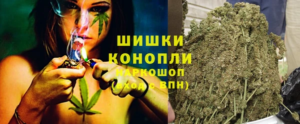 спиды Богородицк