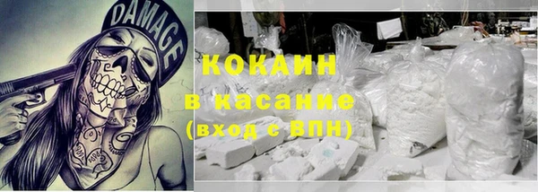 спиды Богородицк