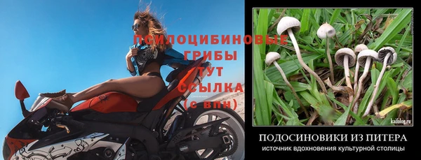 Альфа ПВП Бородино