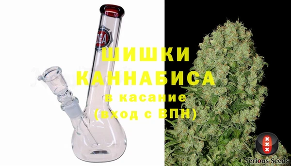 спиды Богородицк