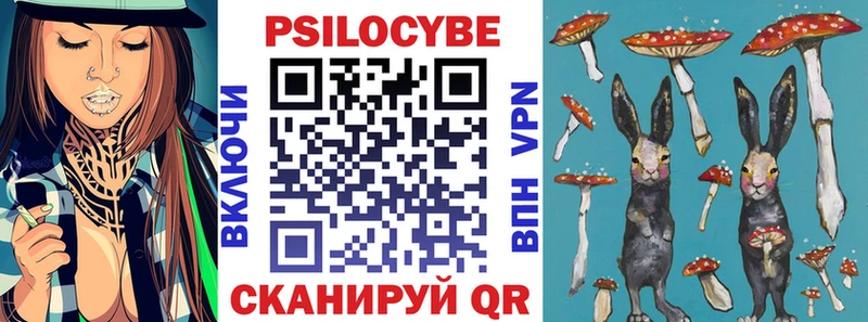 Псилоцибиновые грибы Magic Shrooms  ОМГ ОМГ tor  Новосибирск 